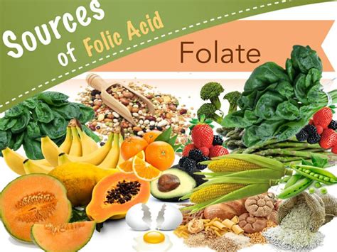 Folate form of Folic Acid and Vitamin B9 | General Knowledge Quiz Blog