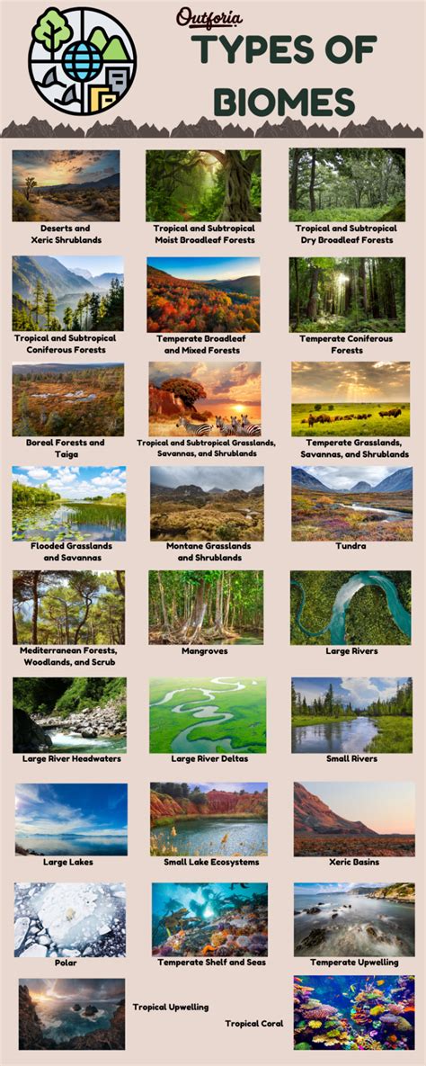 Unveiling Earth's Wonders: 26 Types of Biomes Explored