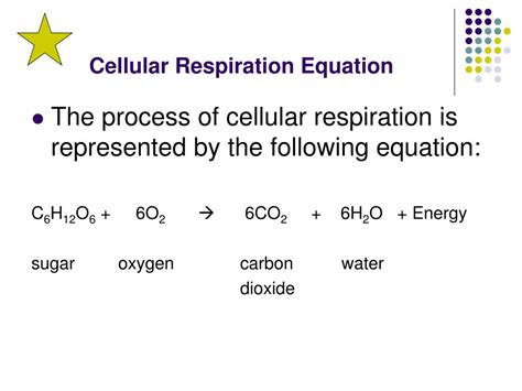 Cellular Respiration Equation