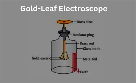 Functions Of Parts Of A Gold Leaf Electroscope - Infoupdate.org