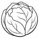 Brussels sprouts Vegetable Outline coloring Book Page Line Art Drawing  sketch template