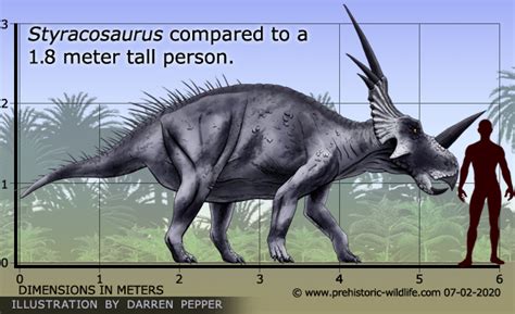 Styracosaurus