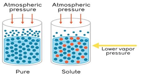 Interrelation between the Colligative Properties - QS Study