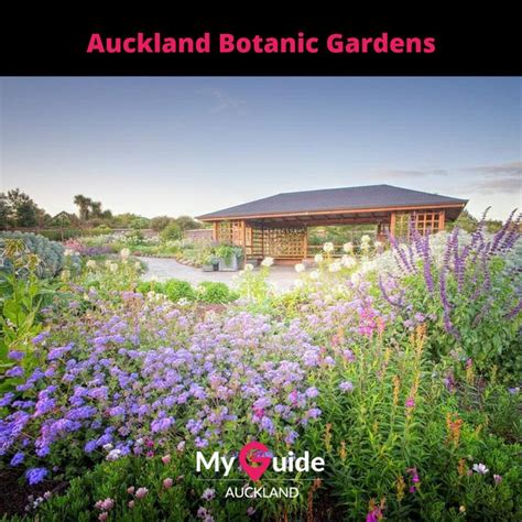 Auckland Botanic Gardens 🥀🌿🍂🌼 in 2020 | Botanical gardens, Botanical, Auckland