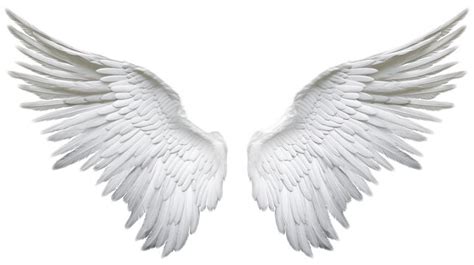 Anime Angel Wings Side View