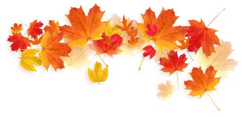 Autumn leaves png transparent free png images download