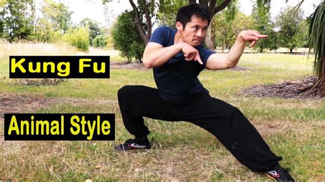 Kung Fu Animal Style With Stances Training - YouTube