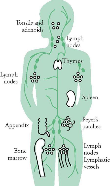 Pin on Therapeutic massage