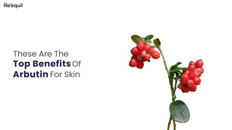 Top Benefits Of Arbutin For Skin - YouTube