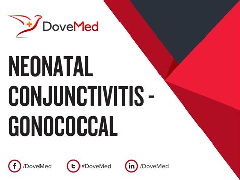 Neonatal Conjunctivitis - Gonococcal