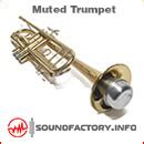 Muted Trumpet | Soundfactory.info