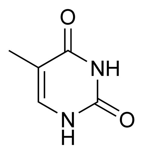 Nucleoside - wikidoc