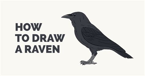 How to Draw a Raven | Step-by-Step Tutorial | Easy Drawing Guides