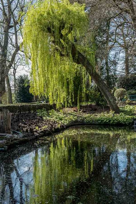 Visiting De Kruidtuin Leuven: Belgium's Oldest Botanical Garden