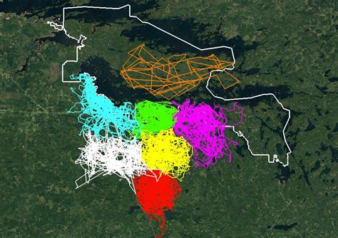 Research Brief: Voyageurs Wolf Project - Bell Museum