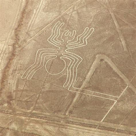 What Are The Nazca Lines? - Rainforest Cruises