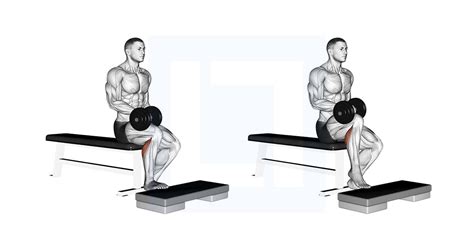 Standing Calf Raise - Guide, Benefits, and Form