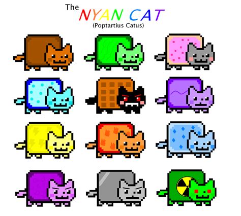 Nyan Cat Sheet by Dodria on deviantART | Nyan cat, Cat anatomy ...