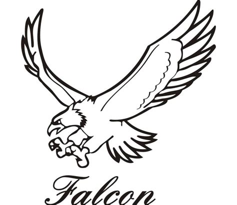 Falcon Clipart Uae | Falcon drawing, Falcon art, Flying drawing