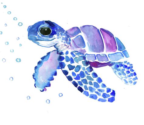 Sea Turtle Paintings