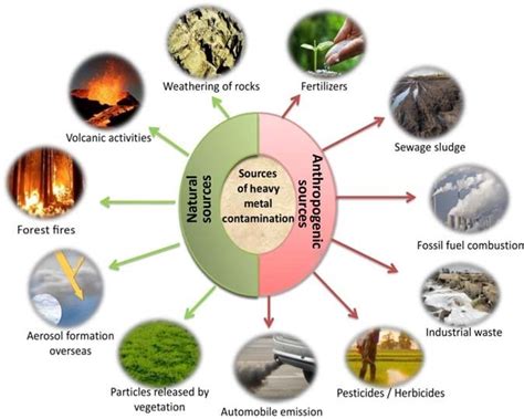 1 Major sources of soil contamination by natural and anthropogenic means. | Download Scientific ...