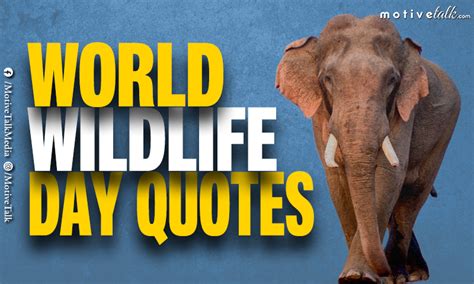 Top 28 Best World Wildlife Day Quotes - A Day For Wildlife - Motive Talk