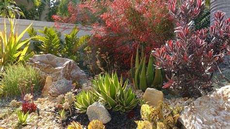 What Is Xeriscaping? (+ 6 Examples) - Wilson Exteriors