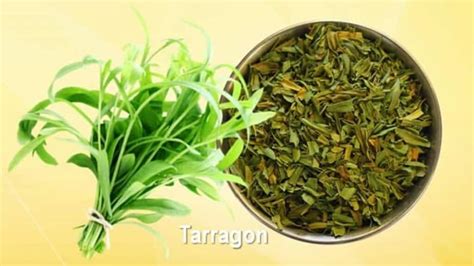 Substitute For Tarragon – 4 Swaps For Dried And Fresh Tarragon
