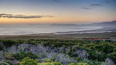 Grootbos Private Nature Reserve — Hotel Review | Condé Nast Traveler