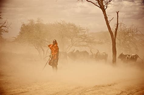 Africa Famine Relief and Crisis Fund - Australia Mobilising