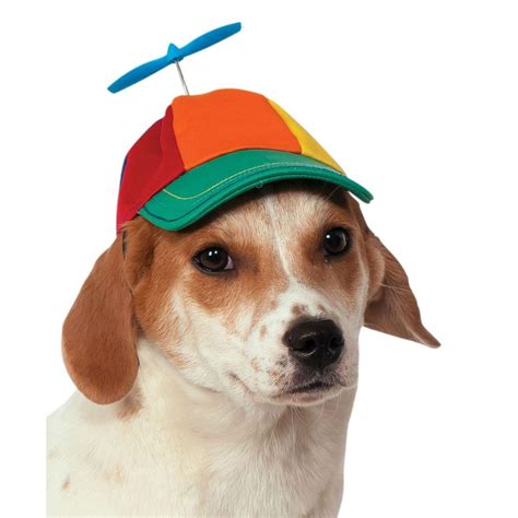 Rubies Propeller Hat Dog Costume | BaxterBoo