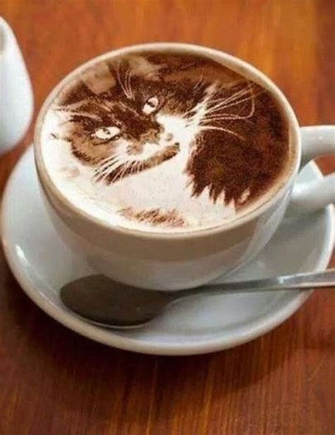 31 best latte art designs (Pictures)