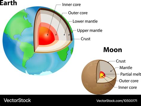 Earth and moon internal structure Royalty Free Vector Image