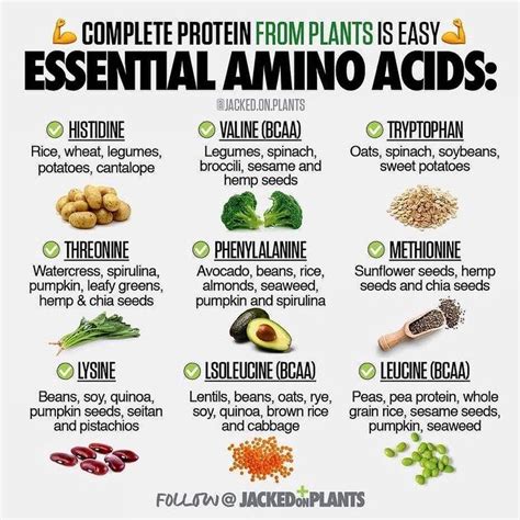 Daily Nutrition Facts 🌱 on Instagram: “Can You Get All Of Your Essential Amino Acids From Plants ...