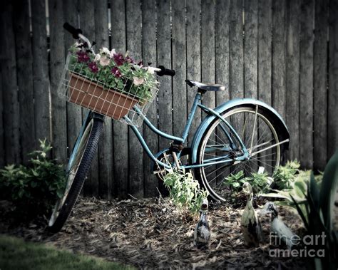 Vintage Blue Bicycle Photograph by Perry Webster