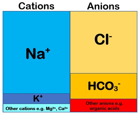 Anion Gap Formula