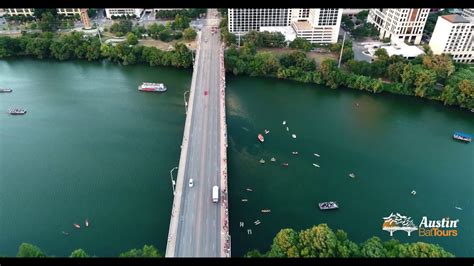 Austin Bat Tours: Public Bat Watching Tours Guide - Austin Bat Tours