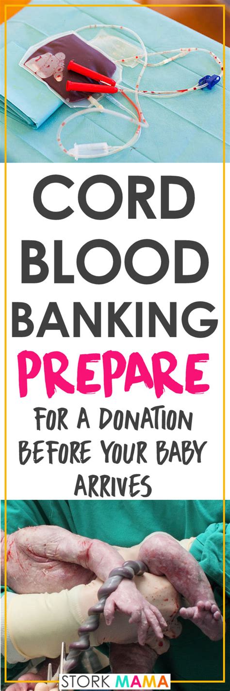 Cord Blood Banking Prep in Pregnancy | Stork Mama