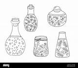 Love Potion Bottles Set Magic Drink Vector outline Illustration Fiol  sketch template