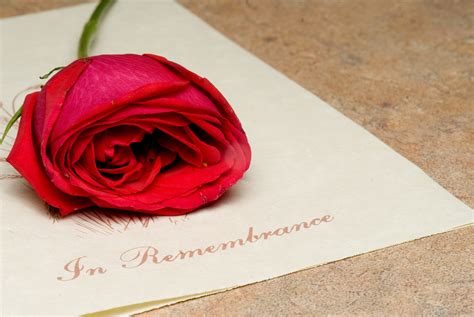 Remembering a Loved One: 12 Best Short Memorial Quotes