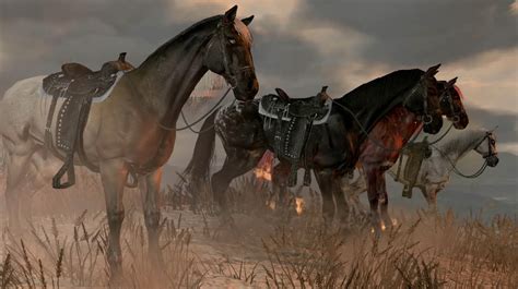 Image - Rdr four horses oblique.jpg | Red Dead Wiki | FANDOM powered by ...