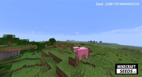 Pink Sheep - Minecraft Seeds