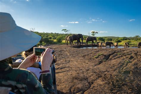 Safari Photography tips and tricks