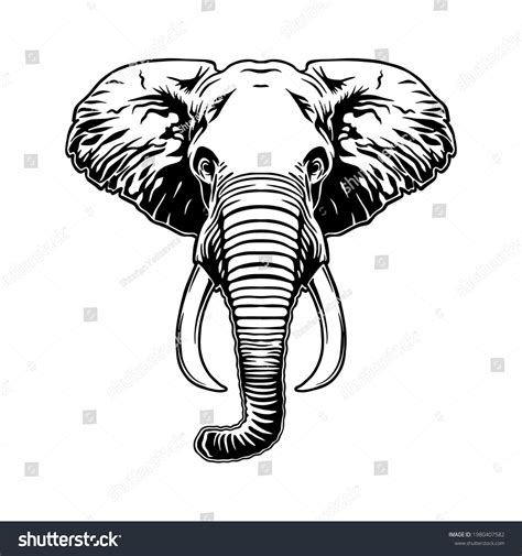 Elephant Head Vector File Elephant Clipart Stock Vector (Royalty Free ...