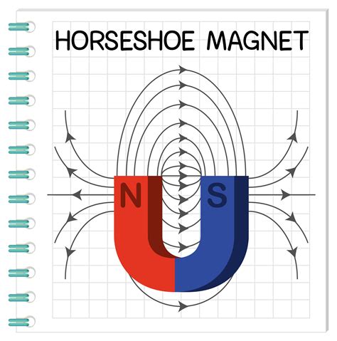 Horseshoe magnet diagram for education 1609923 Vector Art at Vecteezy