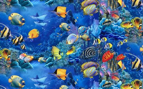 Download Cool Fishes In Blue Coral Reef Wallpaper | Wallpapers.com