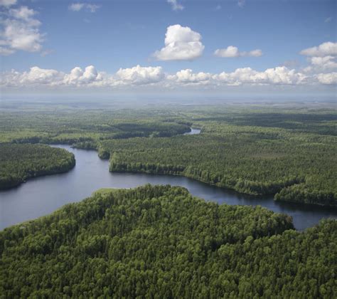 Canada clearcuts one million acres of boreal forest every year ... a ...