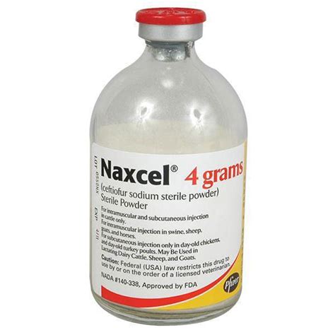 Naxcel - 4gm vial 80ml | On Sale | EntirelyPets Rx