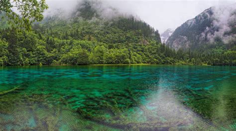 Five flower lake | Five flower lake in Jiuzhaigou national p… | Flickr