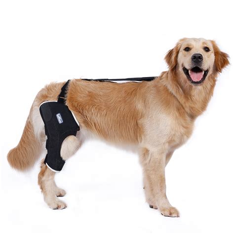 Buy Dog Knee Brace for Torn ACL, Two Angled Lateral Aluminum Splints Support Dogs with Stability ...